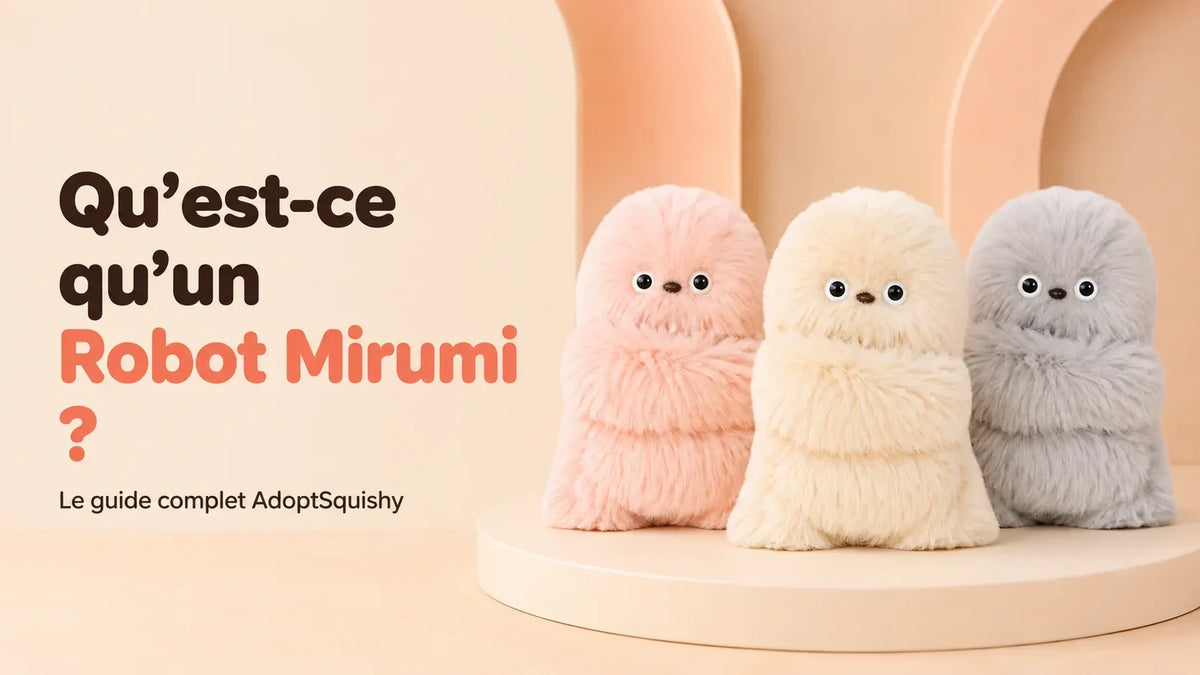 Qu’est-ce qu’un Robot Mirumi ?